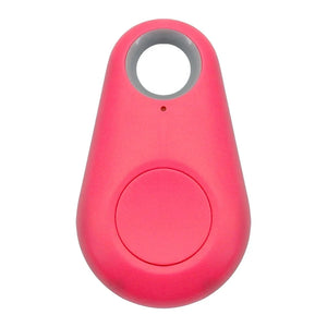 Pet Smart GPS Tracker